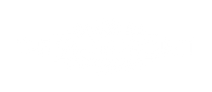The Spring Project